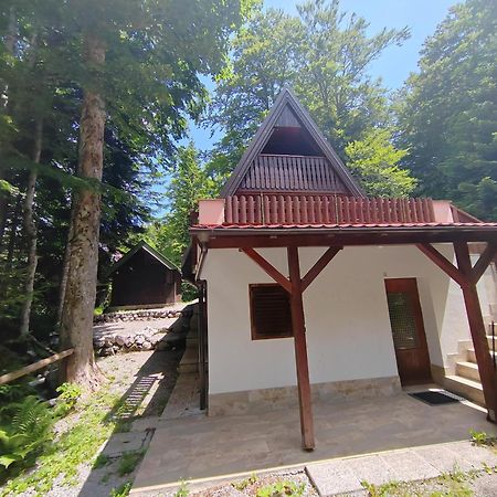 Koca Planika, Sviscaki Villa Ilirska Bistrica Exterior photo